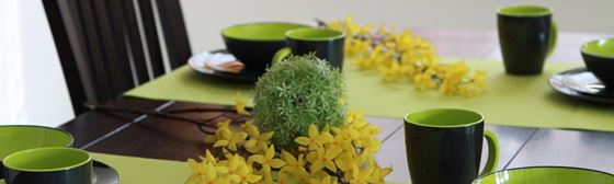ZESTAW OBIADOWY GIMEX GREY LINE LIME 12 szt.
