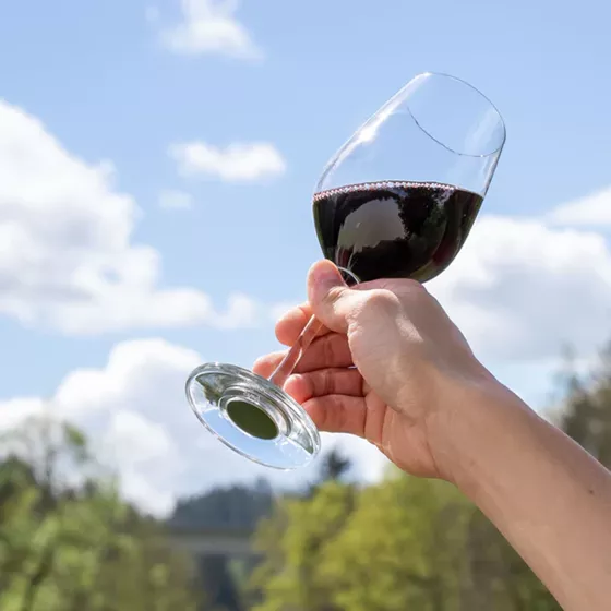 KIELISZKI DO WINA SILWY MAGNETYCZNE 400 ml 2 szt.