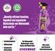 WOSHUP! PŁYN DO USUWANIA INSEKTÓW Z POJAZDÓW SPRAY 1l