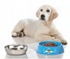 MISKA DLA ZWIERZAT BRUNNER HUNGRY XL