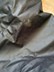 POKROWIEC NA ROWERY 2 BRUNNER BIKE COVER CVN 2 OUTLET