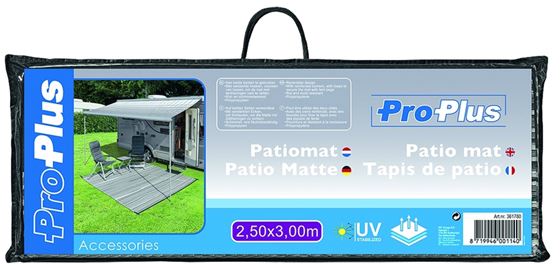 MATA PODŁOGOWA 250x300 PATIO-MATTE SZARA