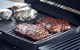 GRILL GAZOWY ENDERS URBAN PRO 30 mbar