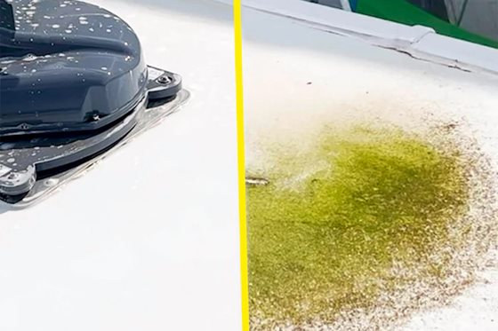 WOSHUP! PŁYN DO USUWANIA SMUG PO DESZCZU SPRAY 1l