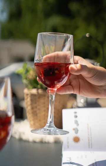 KIELISZKI DO WINA BERGER 295 ml 2 szt.