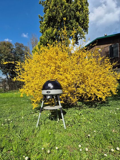 GRILL GAZOWY BRUNNER DEVIL BBQRUISER HT ROUNDGRID 30mbar