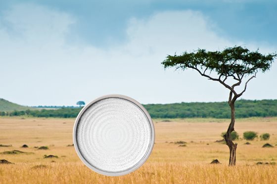 TALERZ BRUNNER SAVANA DESEROWY 21 cm