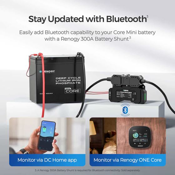 AKUMULATOR 100AH /L+/LIFEPO4 MINI RENOGY